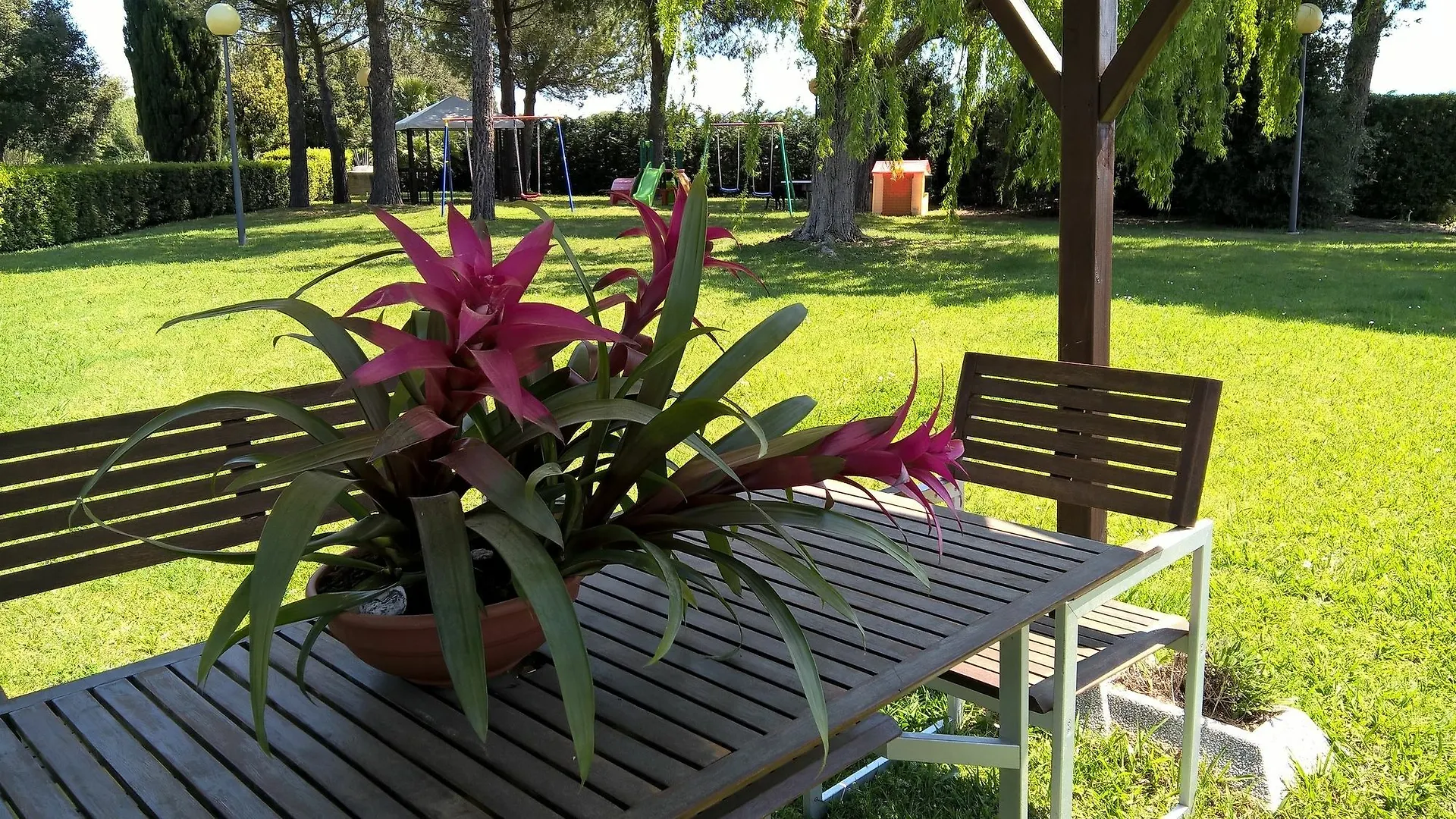 Hotel Riva Etrusca Marina Di Bibbona