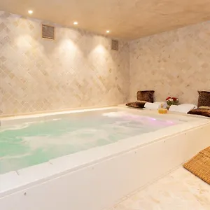 Adler Cavalieri Hotel-private & Gym Florencie