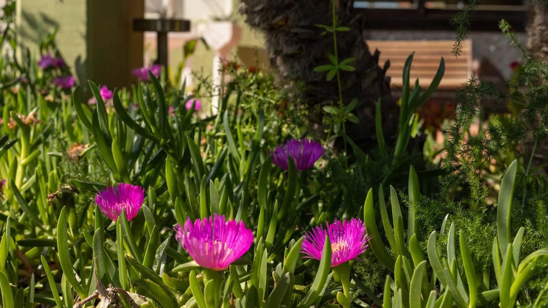 Hotel Riva Etrusca مارينا دي بيبونا